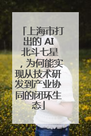 上海市打出的 AI 北斗七星，为何能实现从技术研发到产业协同的闭环生态