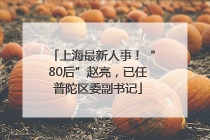 上海最新人事！“80后”赵亮，已任普陀区委副书记