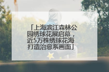上海滨江森林公园绣球花展启幕，近5万株绣球花海打造治愈系画面