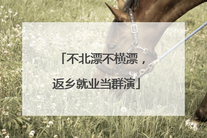 不北漂不横漂，返乡就业当群演