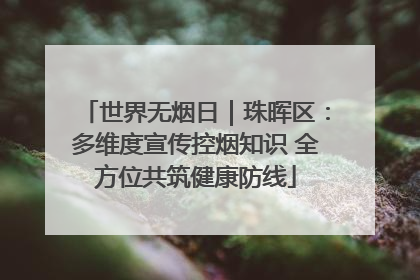 世界无烟日｜珠晖区：多维度宣传控烟知识 全方位共筑健康防线