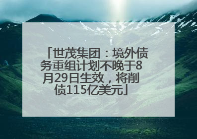 世茂集团：境外债务重组计划不晚于8月29日生效，将削债115亿美元