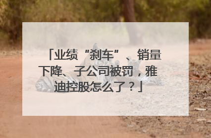 业绩“刹车”、销量下降、子公司被罚，雅迪控股怎么了？