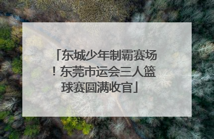 东城少年制霸赛场！东莞市运会三人篮球赛圆满收官