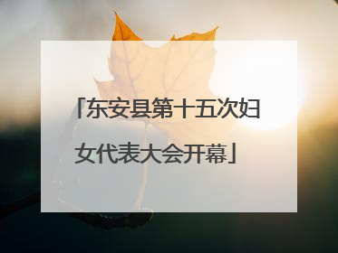 东安县第十五次妇女代表大会开幕