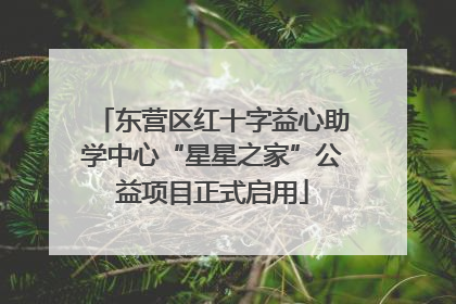 东营区红十字益心助学中心“星星之家”公益项目正式启用