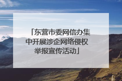 东营市委网信办集中开展涉企网络侵权举报宣传活动
