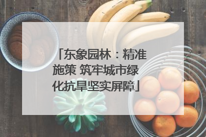 东象园林：精准施策 筑牢城市绿化抗旱坚实屏障