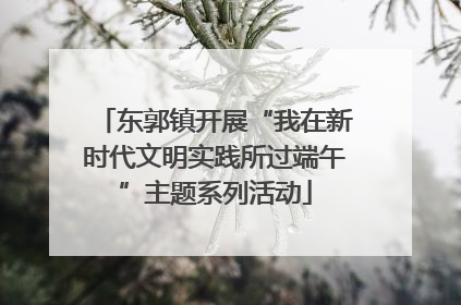 东郭镇开展“我在新时代文明实践所过端午”主题系列活动