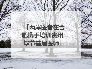 两岸医者在合肥携手培训贵州毕节基层医师