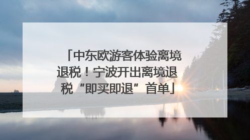 中东欧游客体验离境退税！宁波开出离境退税“即买即退”首单