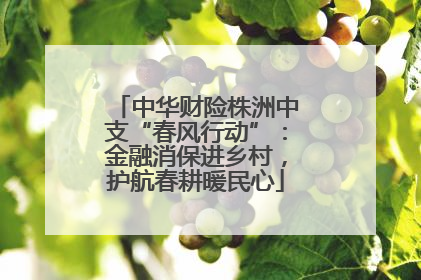 中华财险株洲中支“春风行动”：金融消保进乡村，护航春耕暖民心