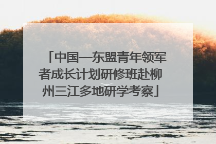 中国—东盟青年领军者成长计划研修班赴柳州三江多地研学考察