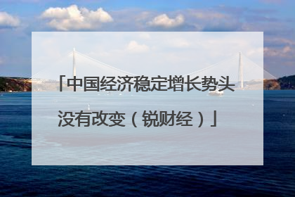 中国经济稳定增长势头没有改变（锐财经）