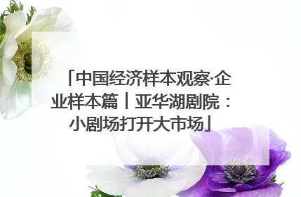 中国经济样本观察·企业样本篇︱亚华湖剧院：小剧场打开大市场