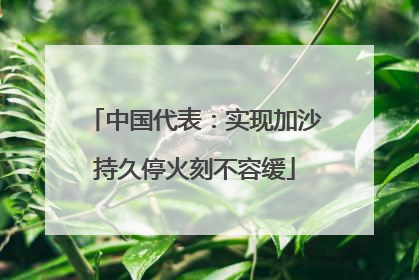 中国代表：实现加沙持久停火刻不容缓