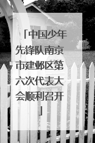 中国少年先锋队南京市建邺区第六次代表大会顺利召开