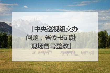 中央巡视组交办问题，省委书记赴现场督导整改