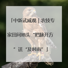 中新武威观｜农技专家田间地头“把脉开方”送“及时雨”