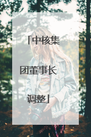 中核集团董事长调整
