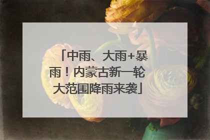 中雨、大雨+暴雨！内蒙古新一轮大范围降雨来袭