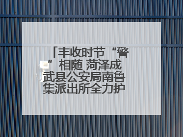 丰收时节“警”相随 菏泽成武县公安局南鲁集派出所全力护航大蒜收获季