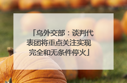 乌外交部：谈判代表团将重点关注实现完全和无条件停火