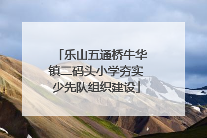 乐山五通桥牛华镇二码头小学夯实少先队组织建设