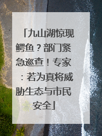 九山湖惊现鳄鱼？部门紧急巡查！专家：若为真将威胁生态与市民安全