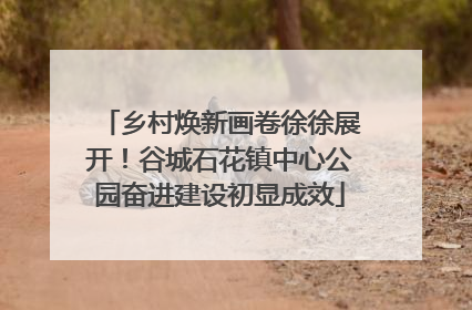 乡村焕新画卷徐徐展开！谷城石花镇中心公园奋进建设初显成效