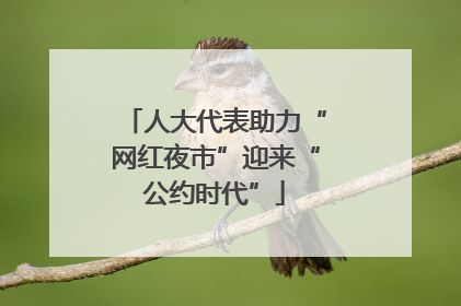 人大代表助力“网红夜市”迎来“公约时代”