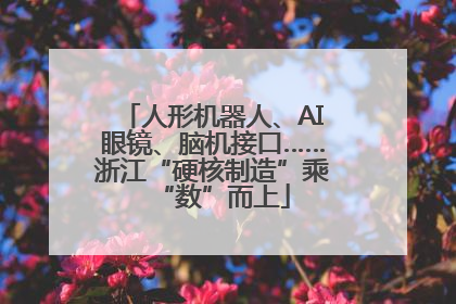 人形机器人、AI眼镜、脑机接口……浙江“硬核制造”乘“数”而上