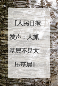 人民日报发声：大抓基层不是大压基层