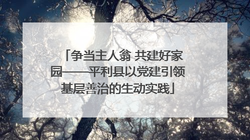 争当主人翁 共建好家园——平利县以党建引领基层善治的生动实践