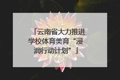 云南省大力推进学校体育美育“浸润行动计划”