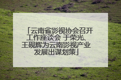 云南省影视协会召开工作座谈会 于荣光、王砚辉为云南影视产业发展出谋划策