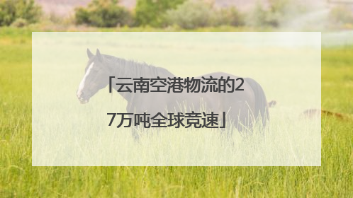 云南空港物流的27万吨全球竞速