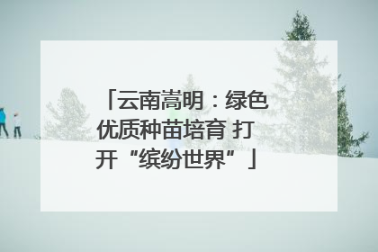 云南嵩明：绿色优质种苗培育 打开“缤纷世界”
