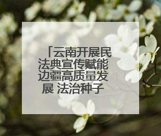 云南开展民法典宣传赋能边疆高质量发展 法治种子在云岭大地生根发芽