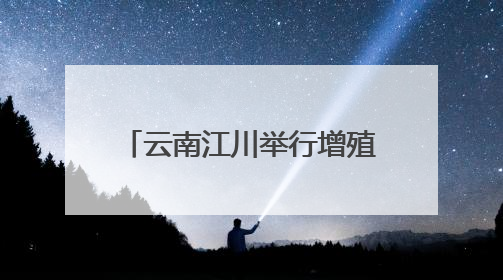 云南江川举行增殖放流活动 逾54万尾鱼游入星云湖