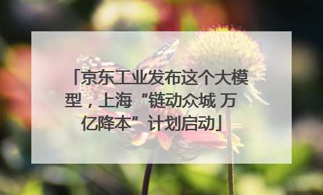 京东工业发布这个大模型，上海“链动众城 万亿降本”计划启动