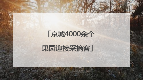 京城4000余个果园迎接采摘客