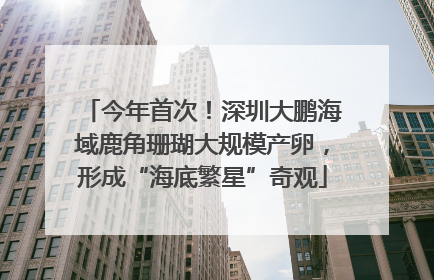 今年首次！深圳大鹏海域鹿角珊瑚大规模产卵，形成“海底繁星”奇观