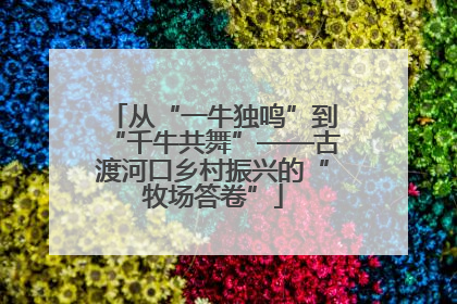 从“一牛独鸣”到“千牛共舞”——古渡河口乡村振兴的“牧场答卷”