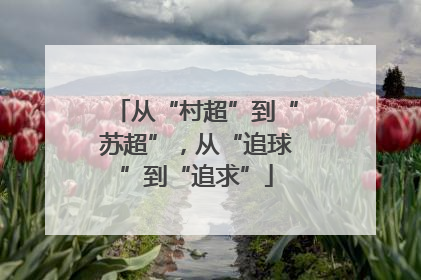 从“村超”到“苏超”，从“追球”到“追求”