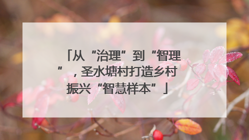 从“治理”到“智理”，圣水塘村打造乡村振兴“智慧样本”