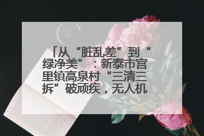 从“脏乱差”到“绿净美”：新泰市宫里镇高泉村“三清三拆”破顽疾，无人机“天眼”护新颜
