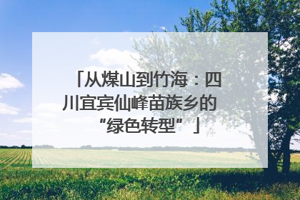 从煤山到竹海：四川宜宾仙峰苗族乡的“绿色转型”