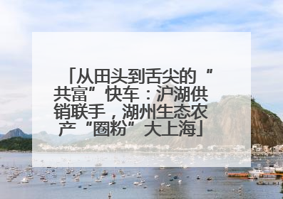 从田头到舌尖的“共富”快车：沪湖供销联手，湖州生态农产“圈粉”大上海