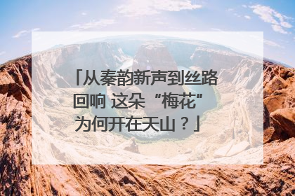 从秦韵新声到丝路回响 这朵“梅花”为何开在天山？